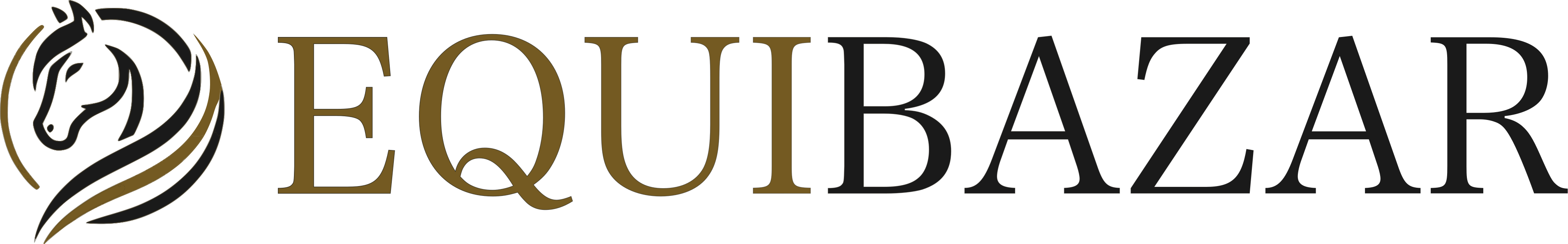 Equibazar logo